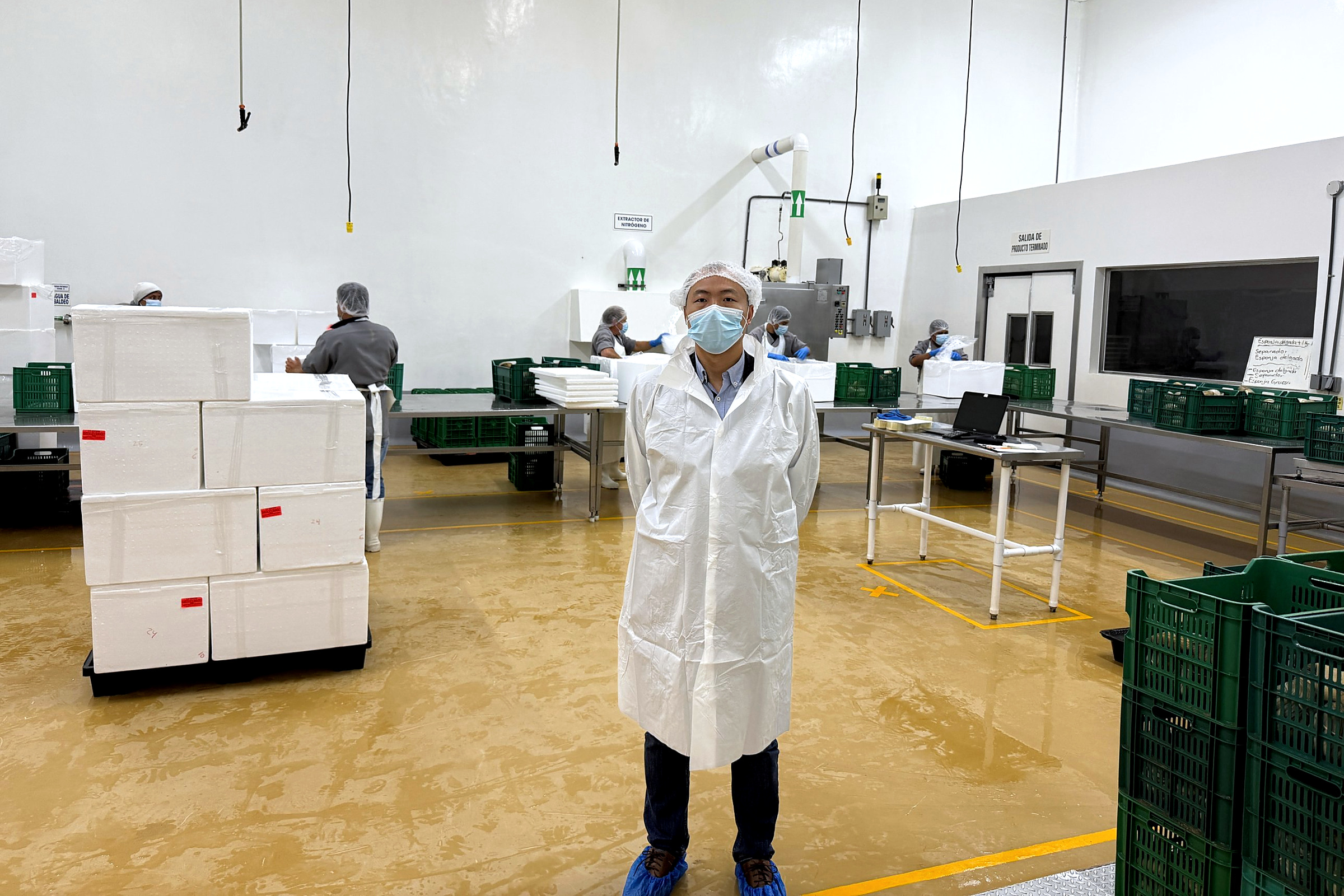 Mexfan team member visiting a seafood processing factory
