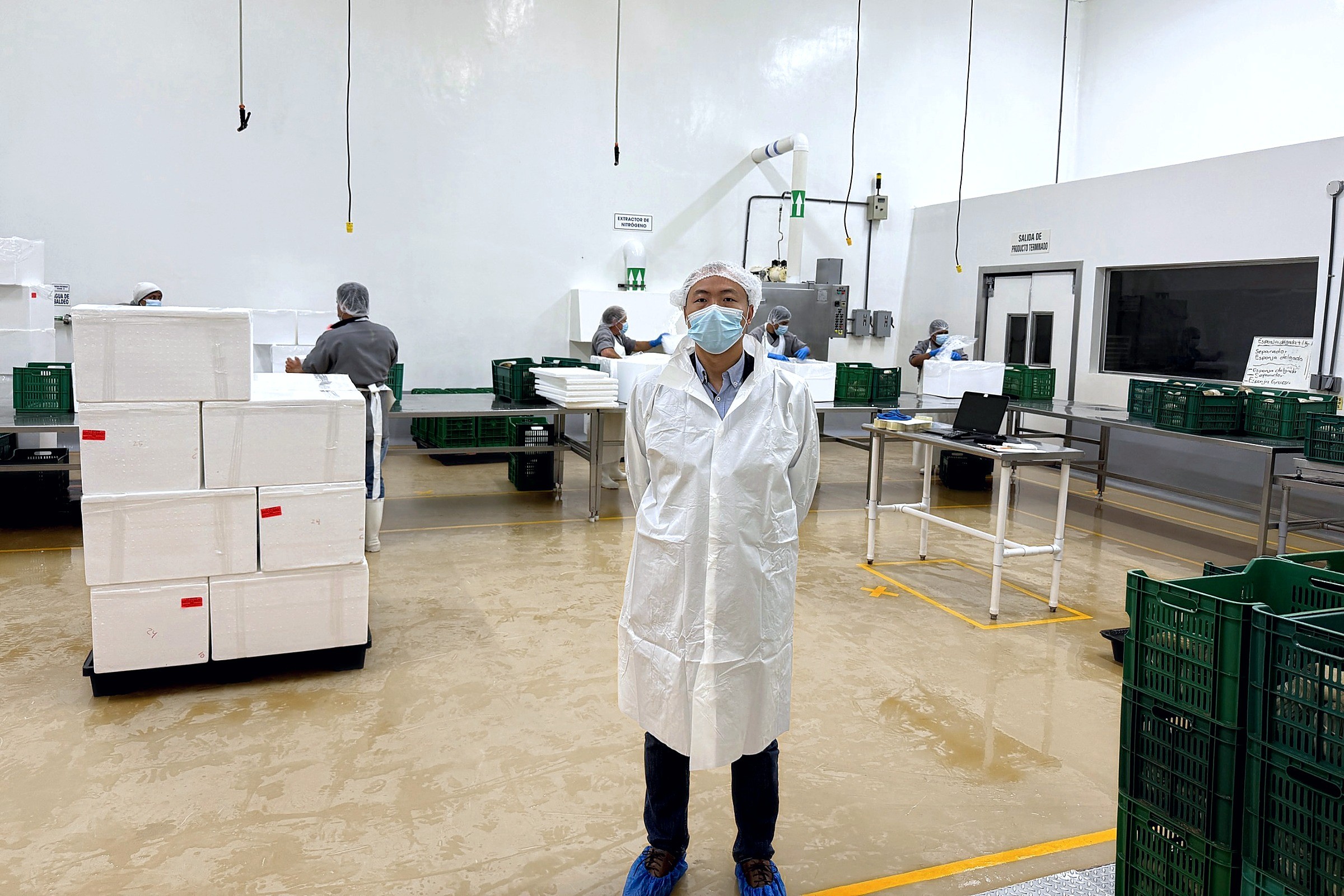 Mexfan team member visiting a seafood processing factory